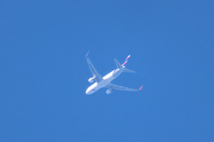 CC-BDC